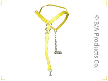 1" Vinyl Coated Basket Strap with One Cross Straps & Two T Hooks - starequipmentsales